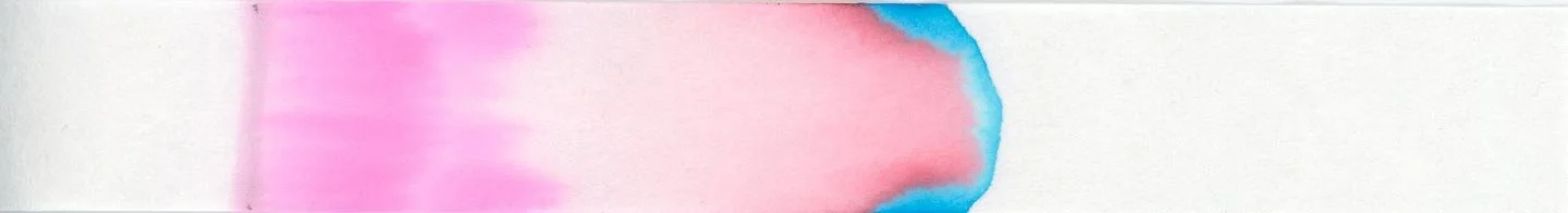 Monteverde Rose Noir chromatography