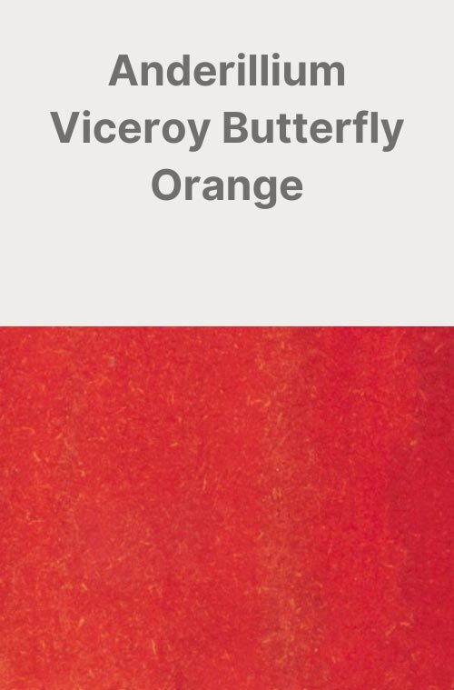 Anderillium-Viceroy-Butterfly-Orange-Card.jpg
