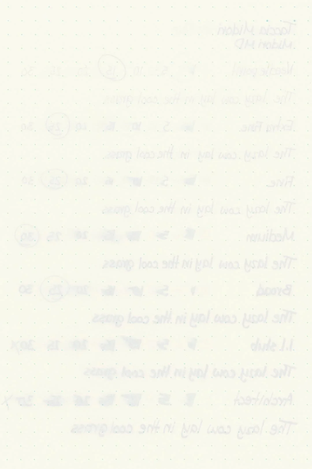 Taccia-Midori-Ink-Test-Midori-Rear.jpg