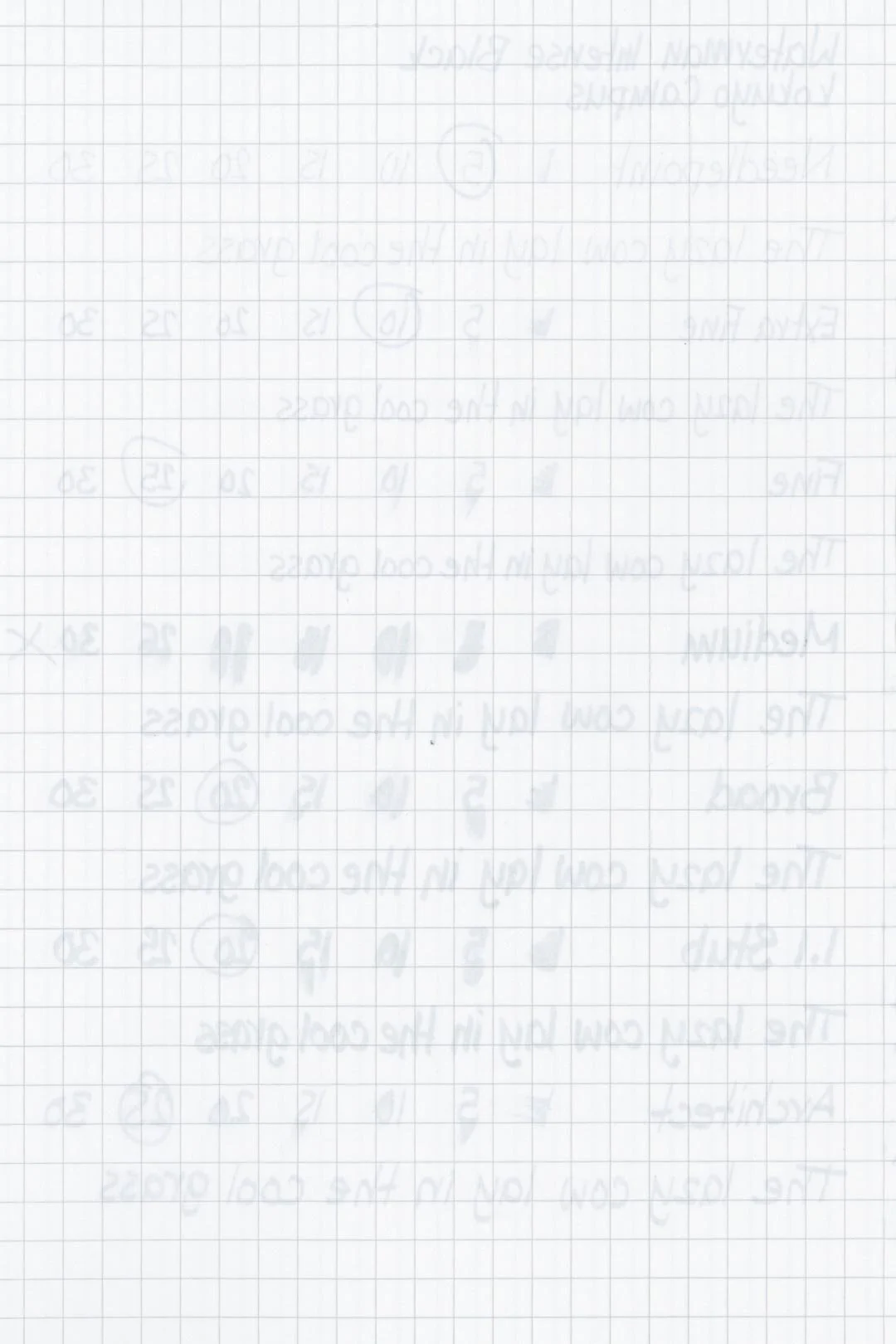 Waterman-Intense-Black-Ink-Test-Kokuyo-Rear.jpg