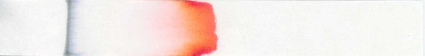 Monteverde Copper Noir chromatography