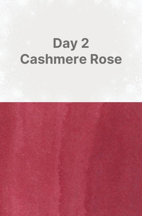 Day 2: Cashmere Rose