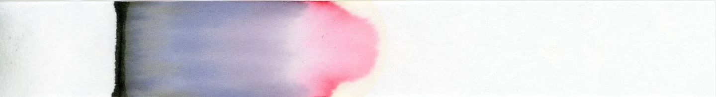 Monteverde Coal Noir chromatography