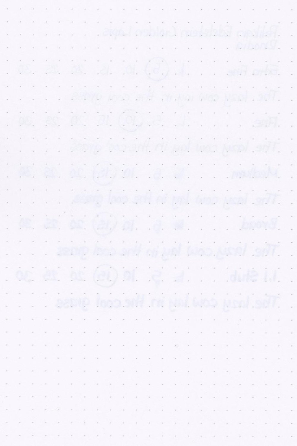 Pelikan-Edelstein-Golden-Lapis-Ink-Test-Rhodia-Rear.jpg