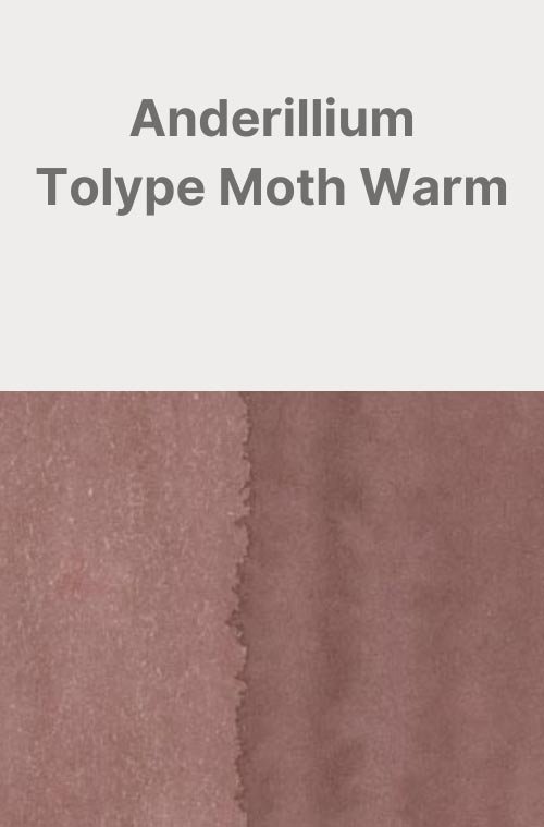Anderillium-Tolype-Moth-Warm-Card.jpg