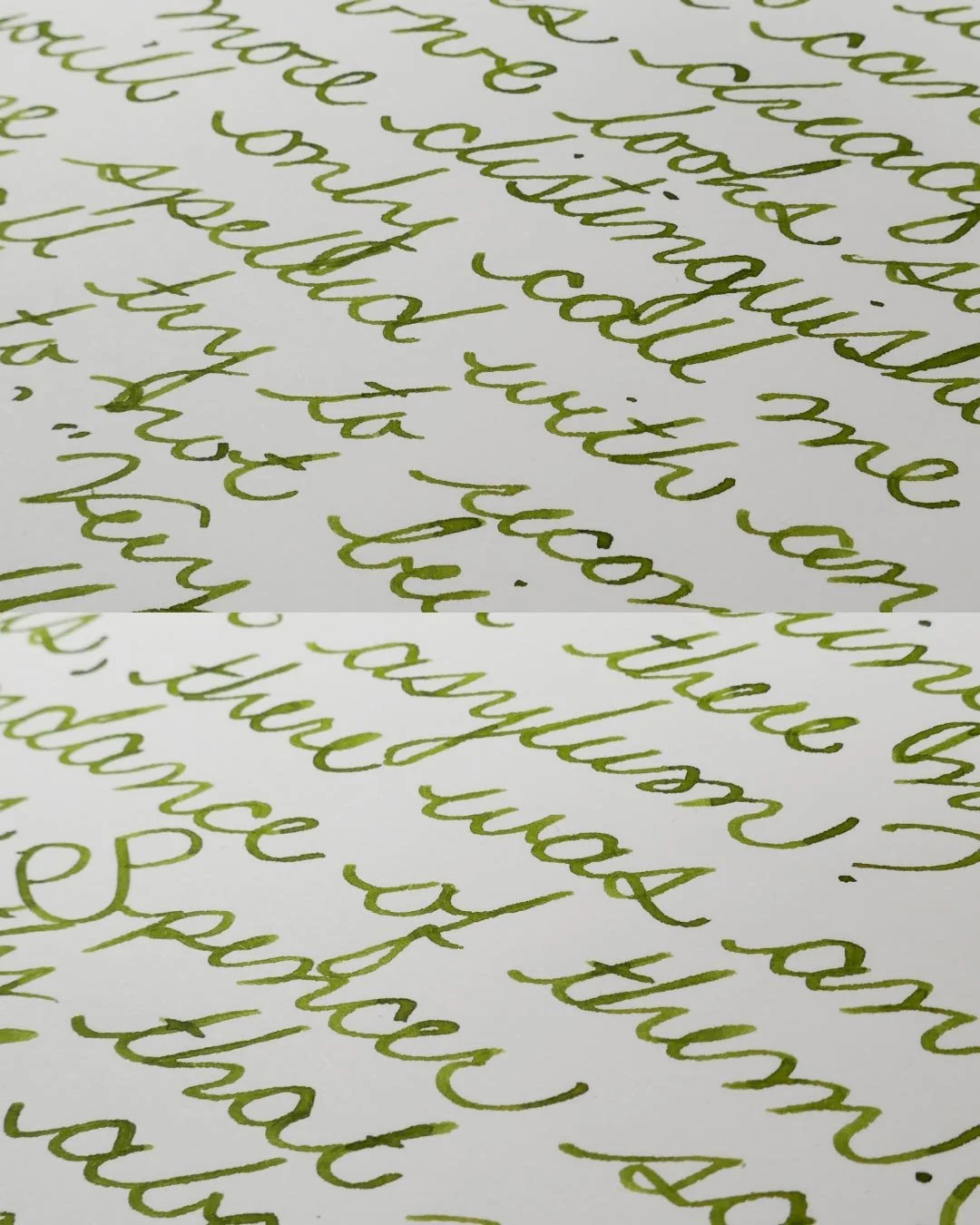 Vinta Sea Kelp Leyte cursive macro 3