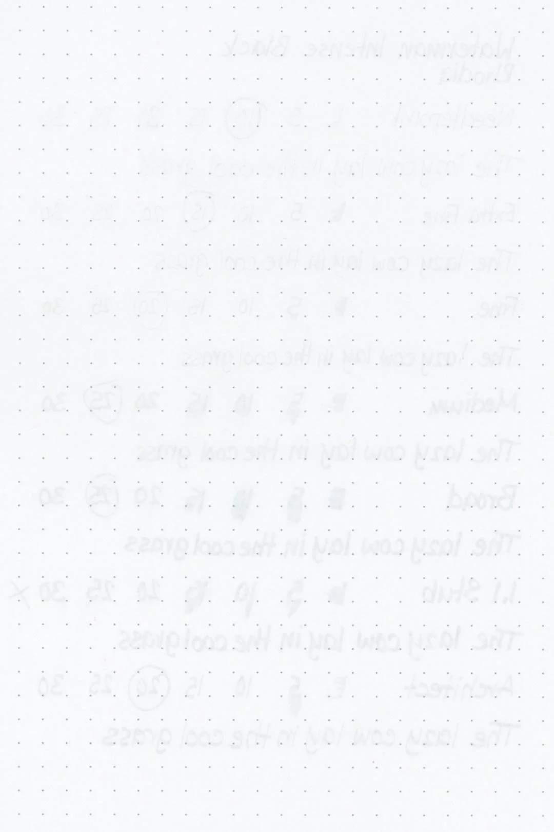 Waterman-Intense-Black-Ink-Test-Rhodia-Rear.jpg