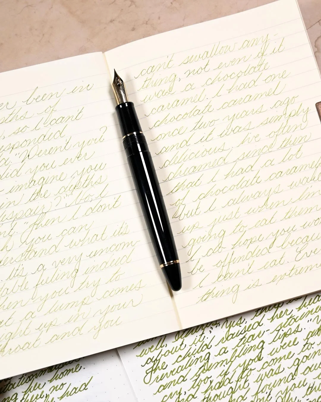 Vinta Sea Kelp Leyte writing sample with Sailor Profit Casual 1