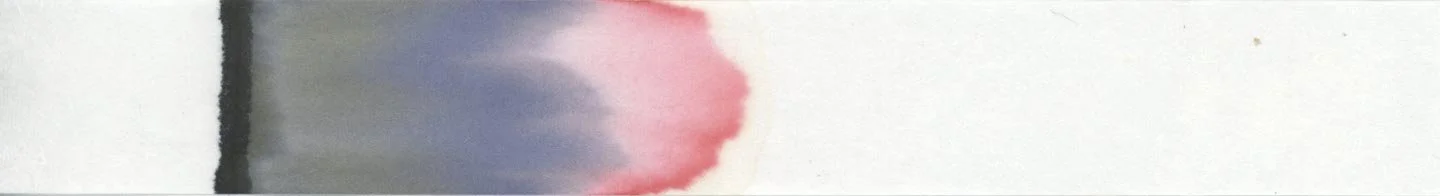 Monteverde Raven Noir Chromatography