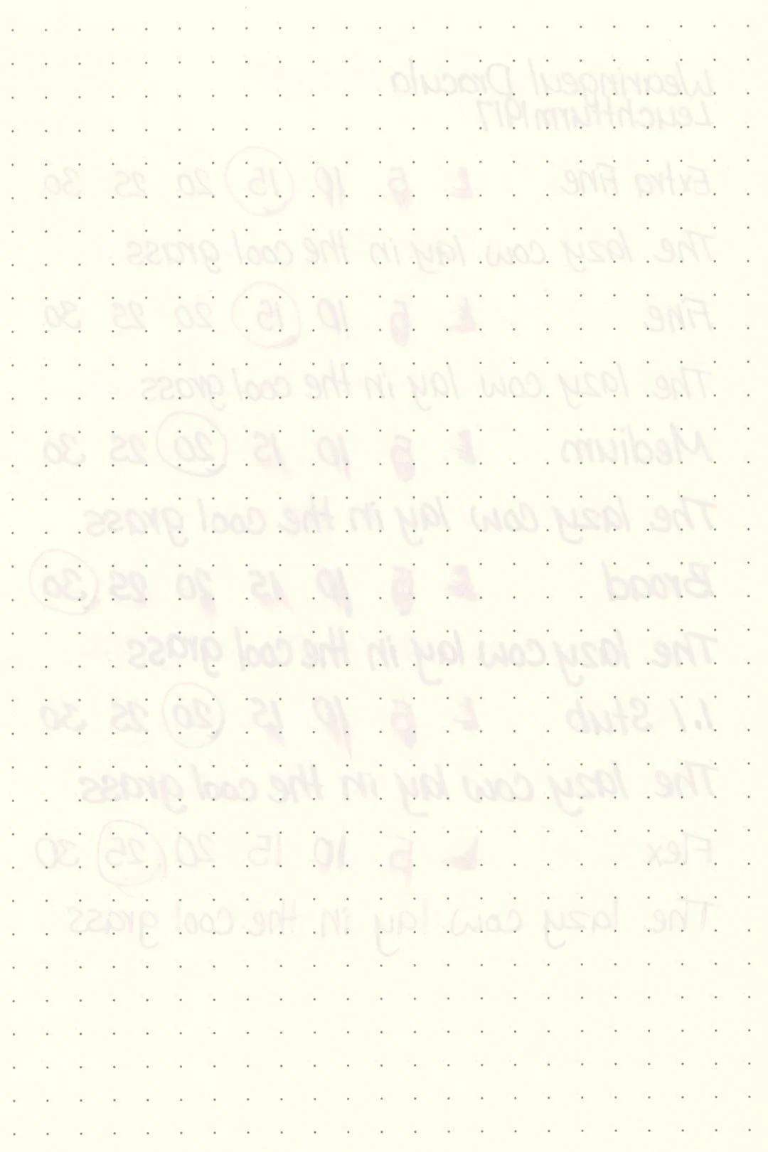 Wearingeul-Dracula-Ink-Test-Leuchtturm-Rear.jpg