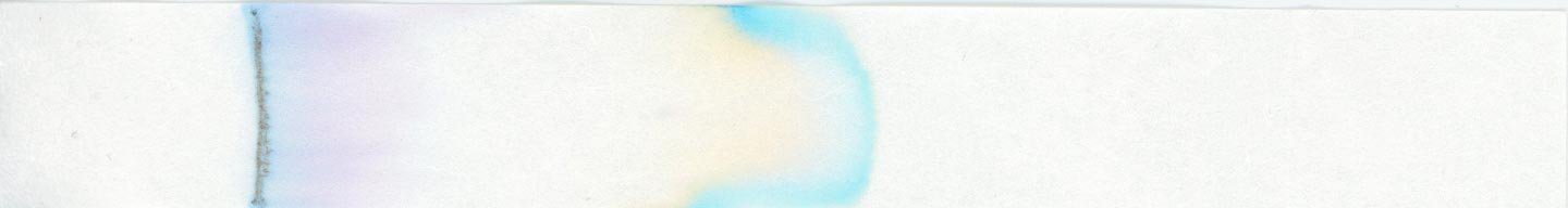 Wearingeul Annabel Lee chromatography