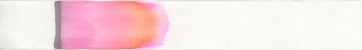 Wearingeul Henry Jekyll chromatography