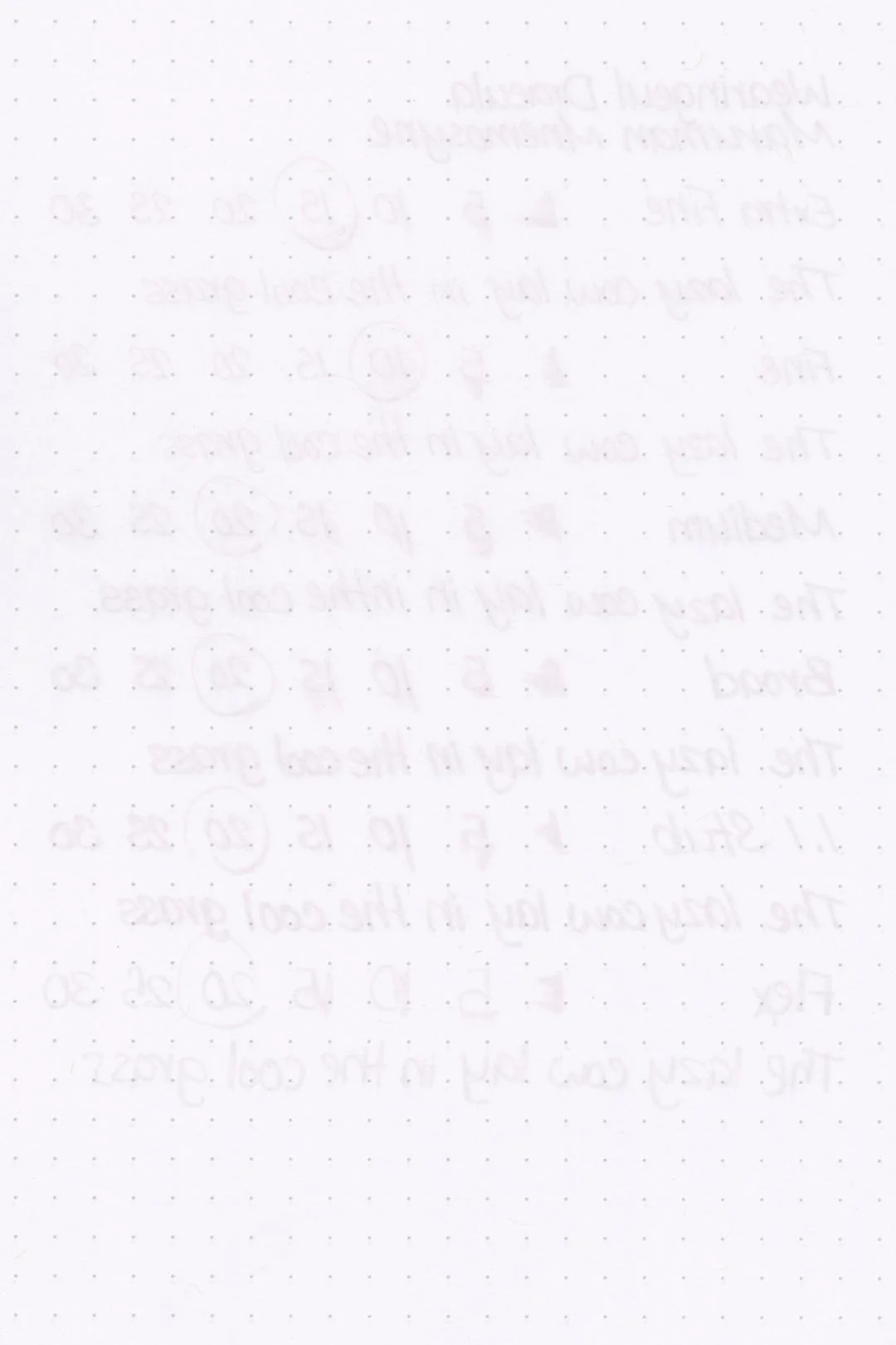 Wearingeul-Dracula-Ink-Test-Rhodia-Rear.jpg