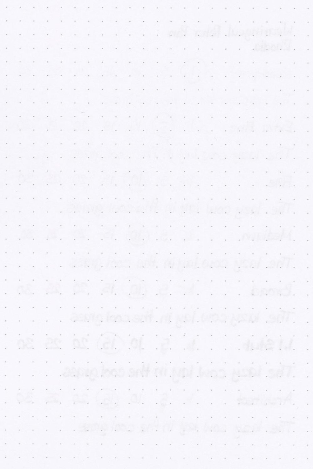 Wearingeul-Peter-Pan-Ink-Test-Rhodia-Rear.jpg
