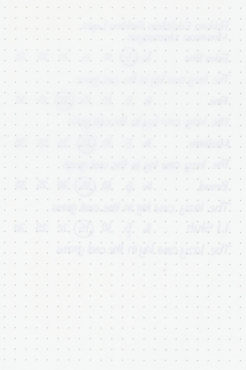 Pelikan-Edelstein-Golden-Lapis-Ink-Test-Maruman-Rear.jpg