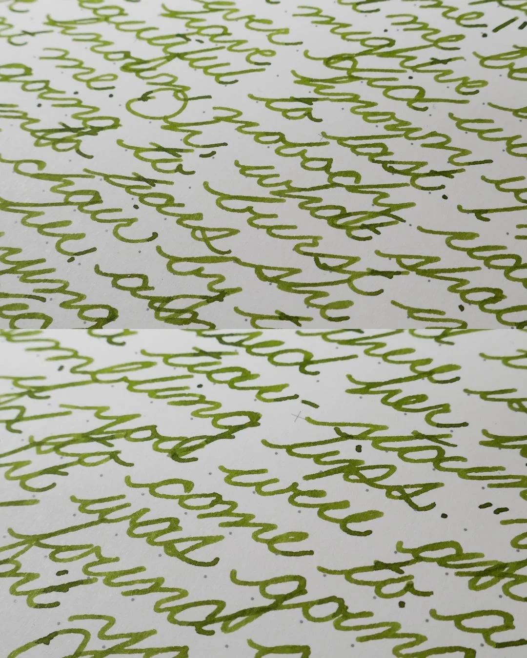 Vinta Sea Kelp Leyte cursive macro 1