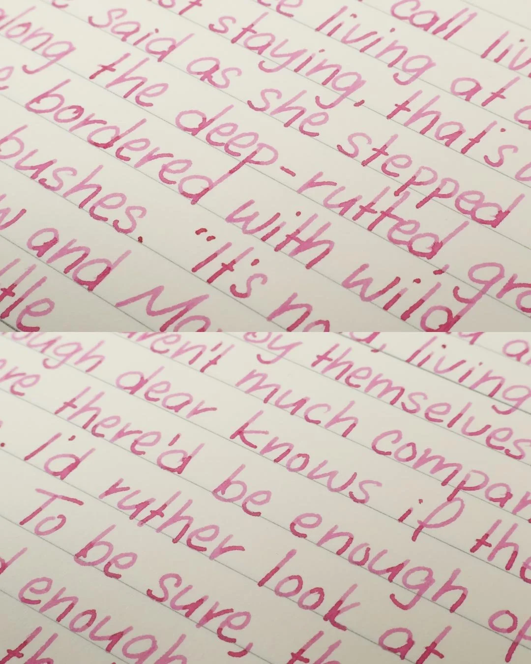 Anderillium Rosy Maple Moth Pink print macro