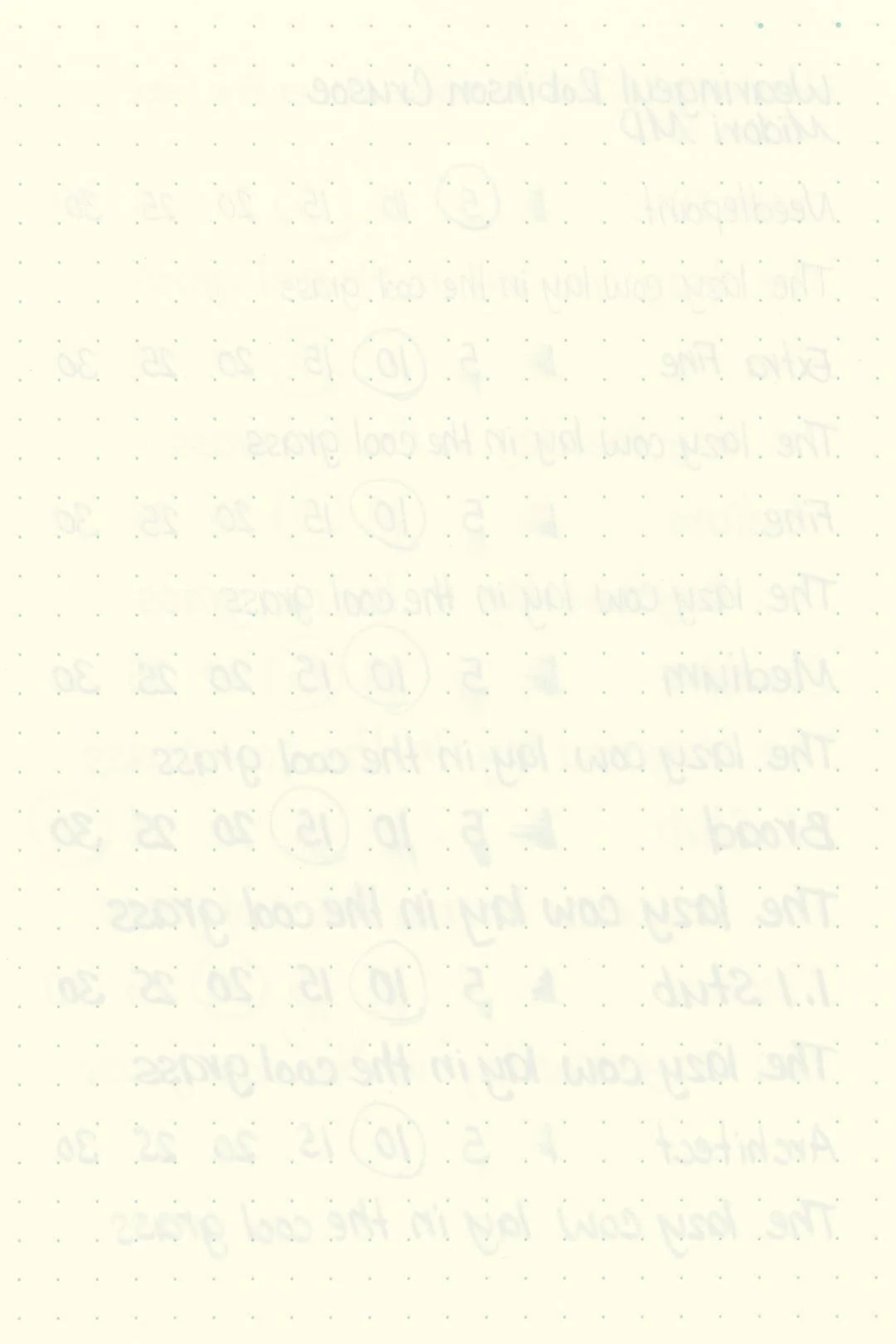 Wearingeul-Robinson-Crusoe-Ink-Test-Midori-Rear.jpg