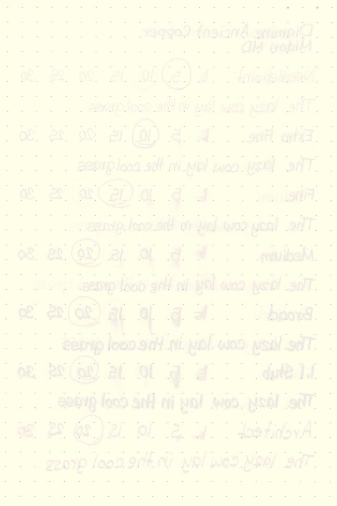 Diamine-Ancient-Copper-Ink-Test-Midori-Rear.jpg
