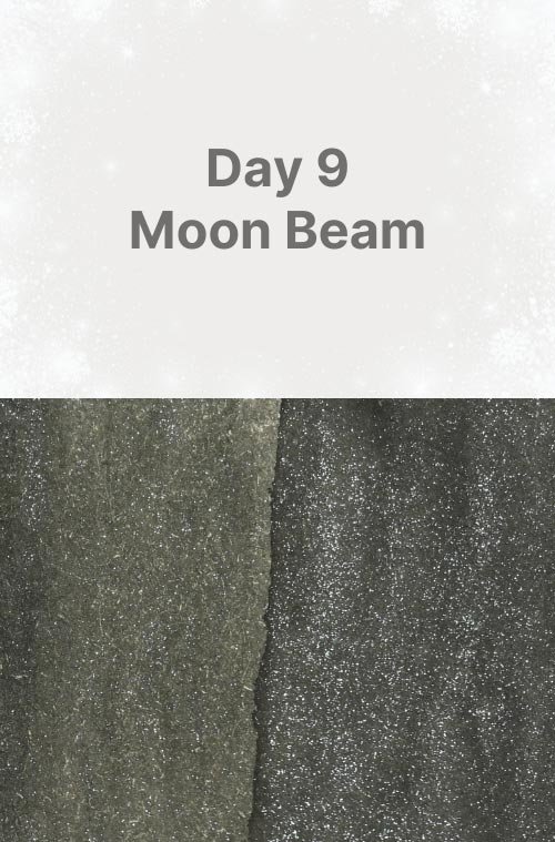 Day 9: Moon Beam