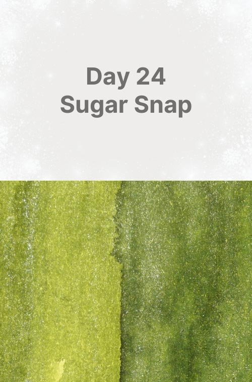 Day 24: Sugar Snap