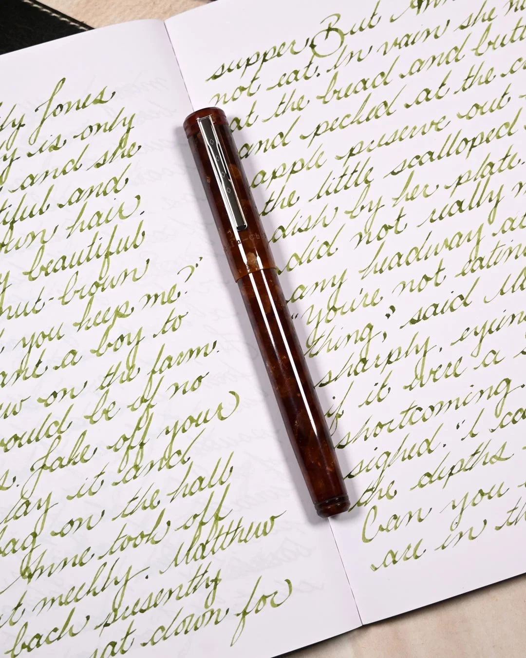 Vinta Sea Kelp Leyte writing sample with Franklin-Christoph model 20 4