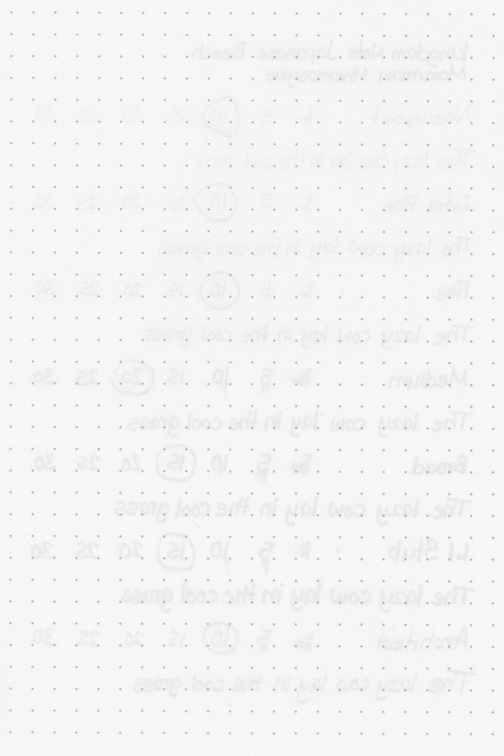 Kingdom-Note-Japanese-Beech-Ink-Test-Maruman-Rear.jpg