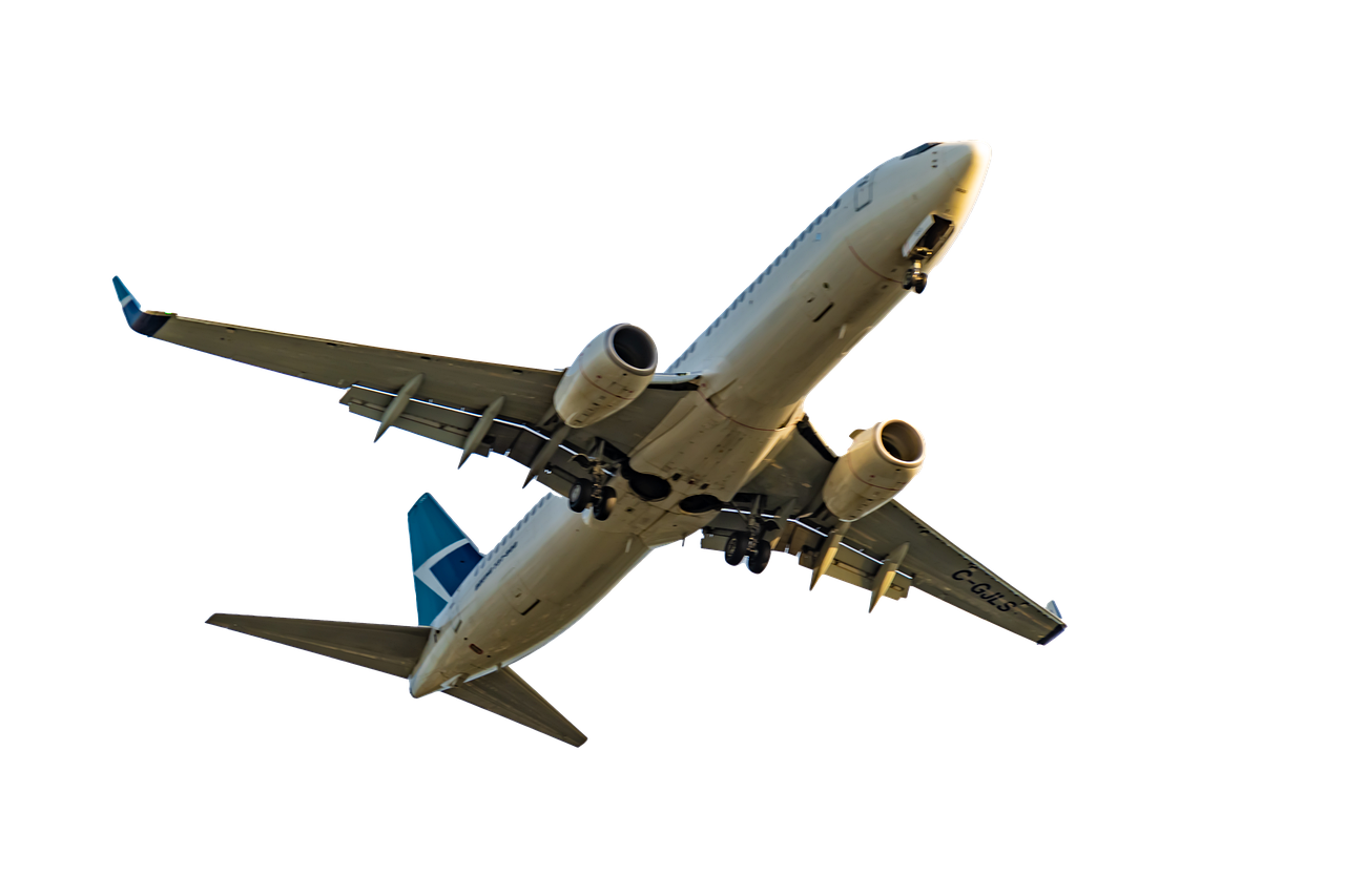 Wings N' Things Showcase