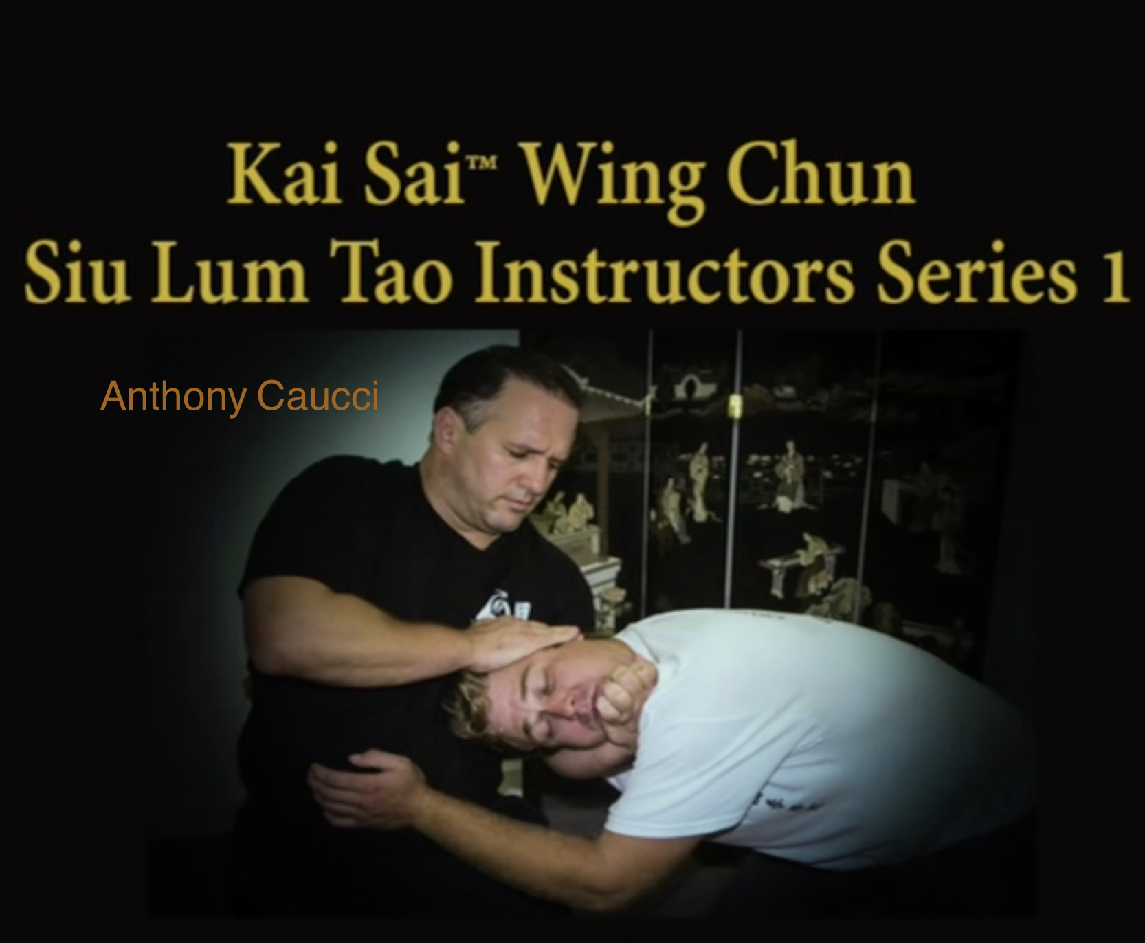 Kai Sai™ Wing Chun Siu Lum Tao Instructors Series 1 Digital Download