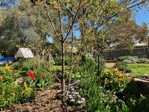 sue and greg davis.jpg