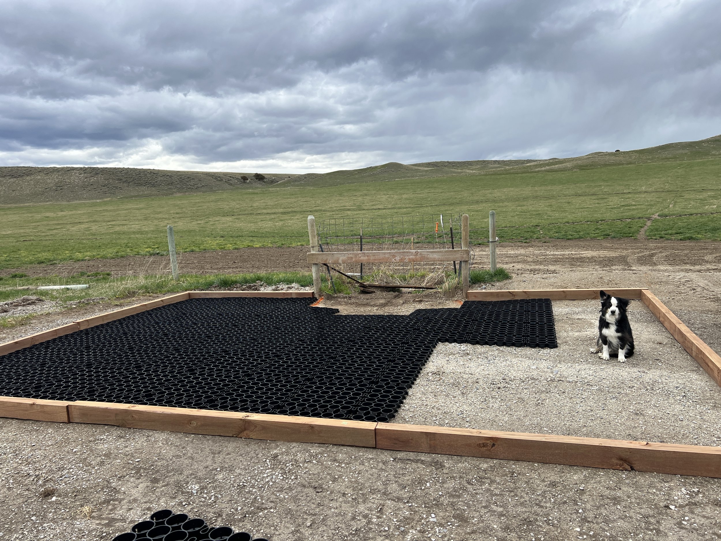 TrueGrid is temporarily laid and framing materials fitted tightly around it