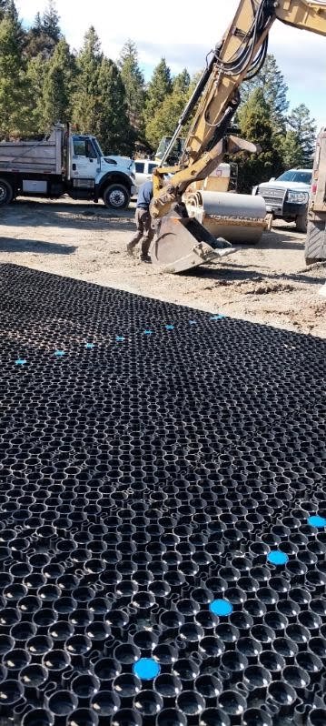 TrueGrid was now ready to be filled