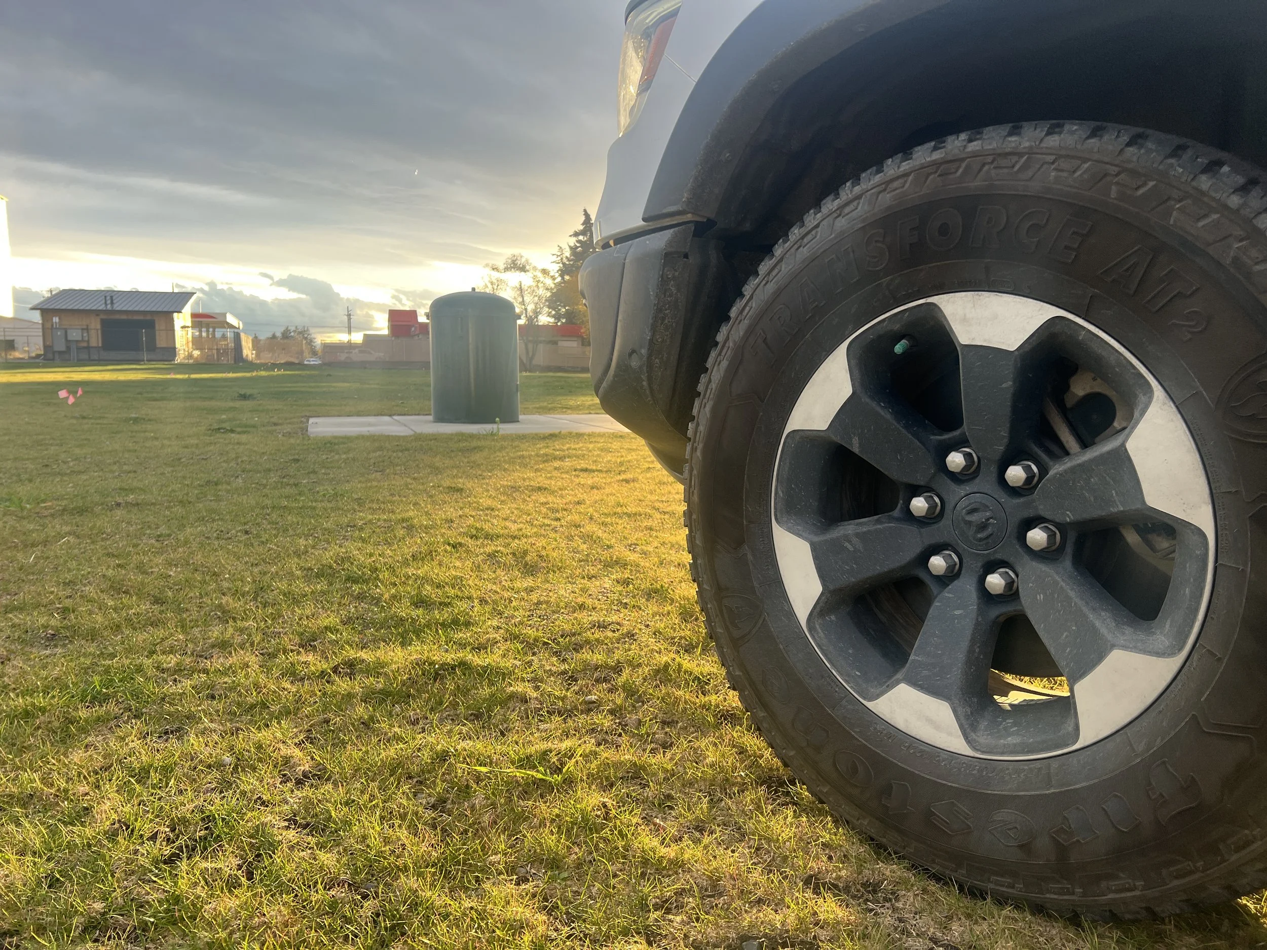 6 weeks post-hydraseed, the access area handles vehicle weight easily.