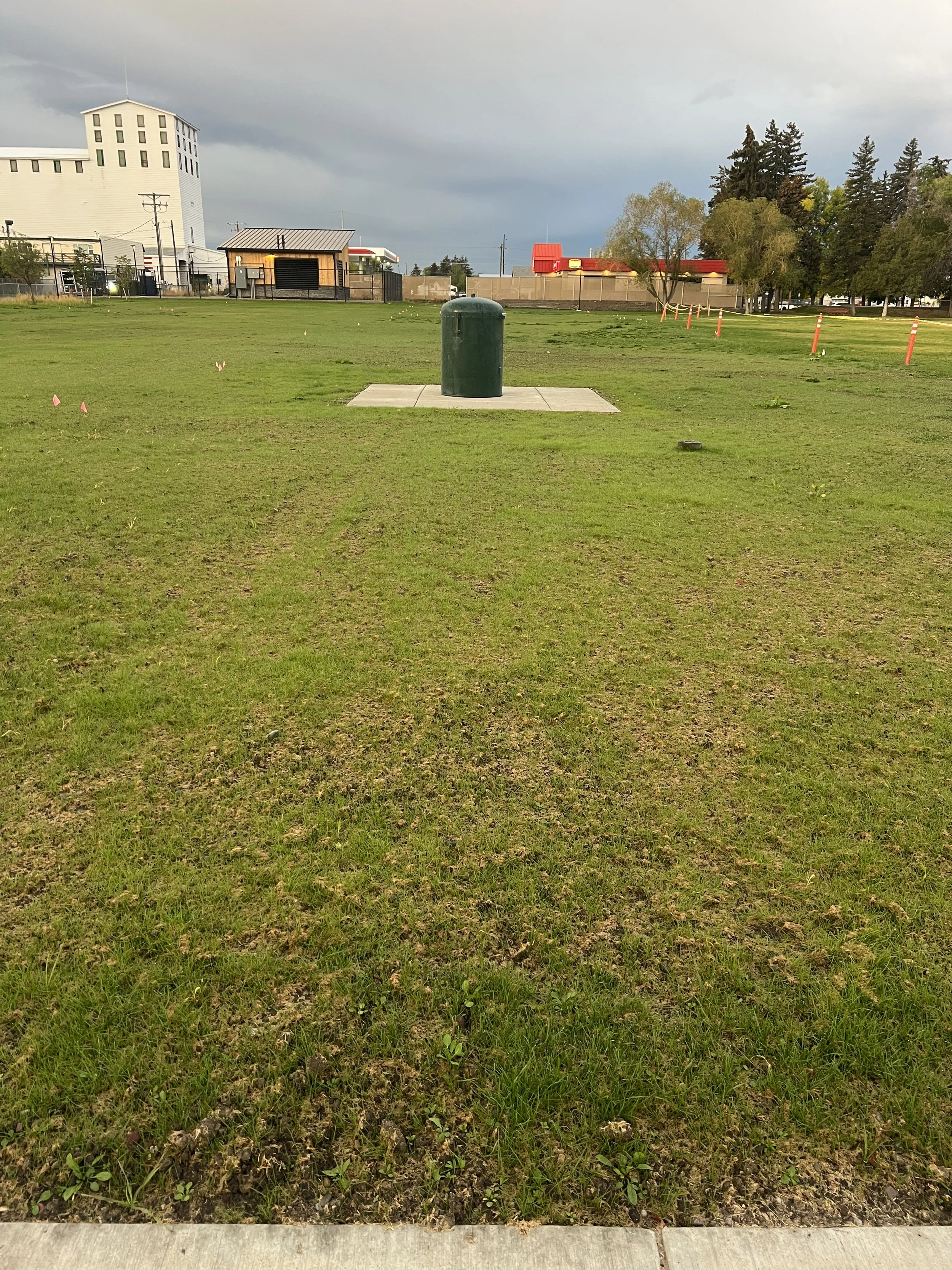 Week 3: Hydraseed growing (facing South)