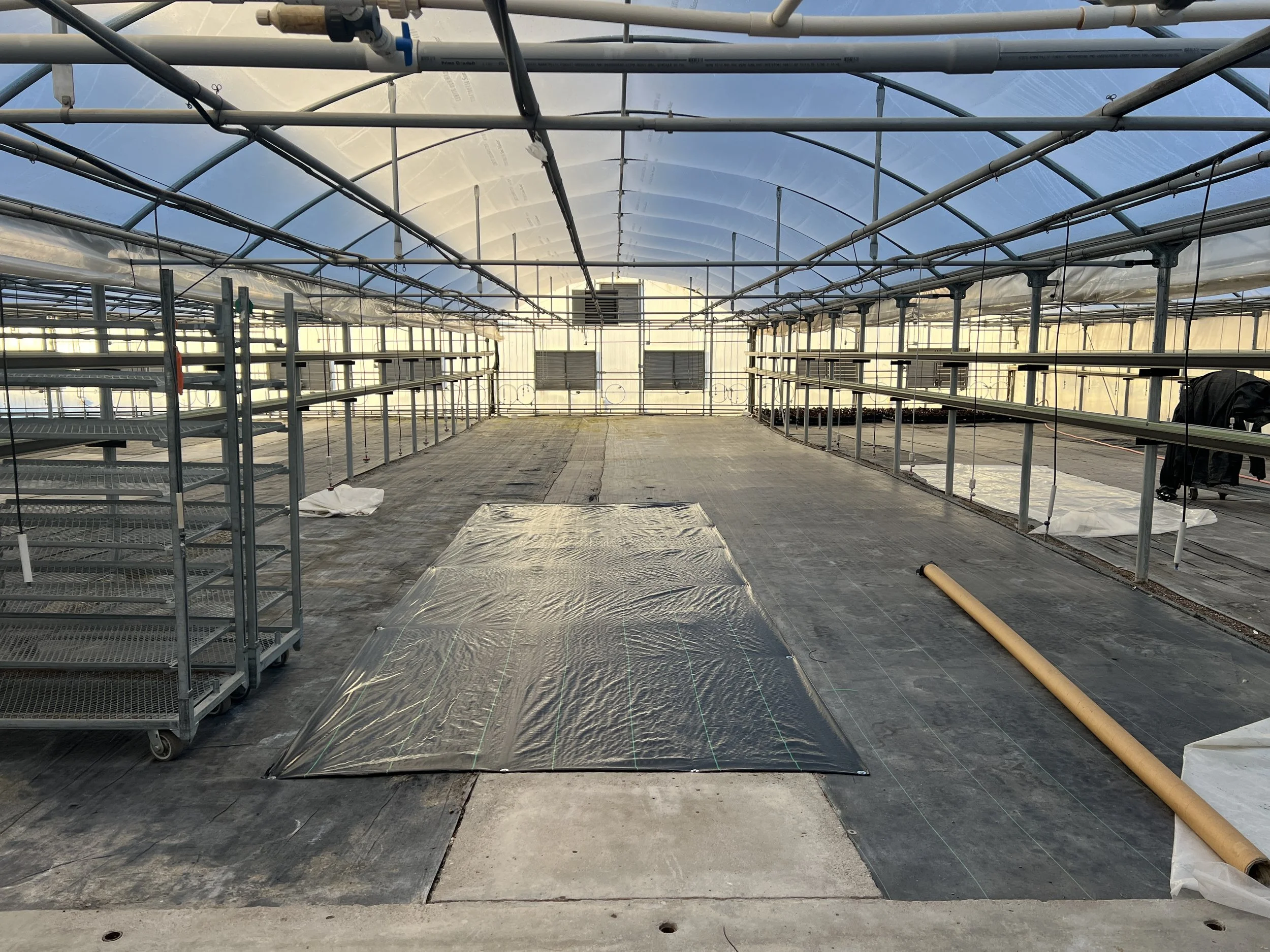 BEFORE. The greenhouse bay before installation