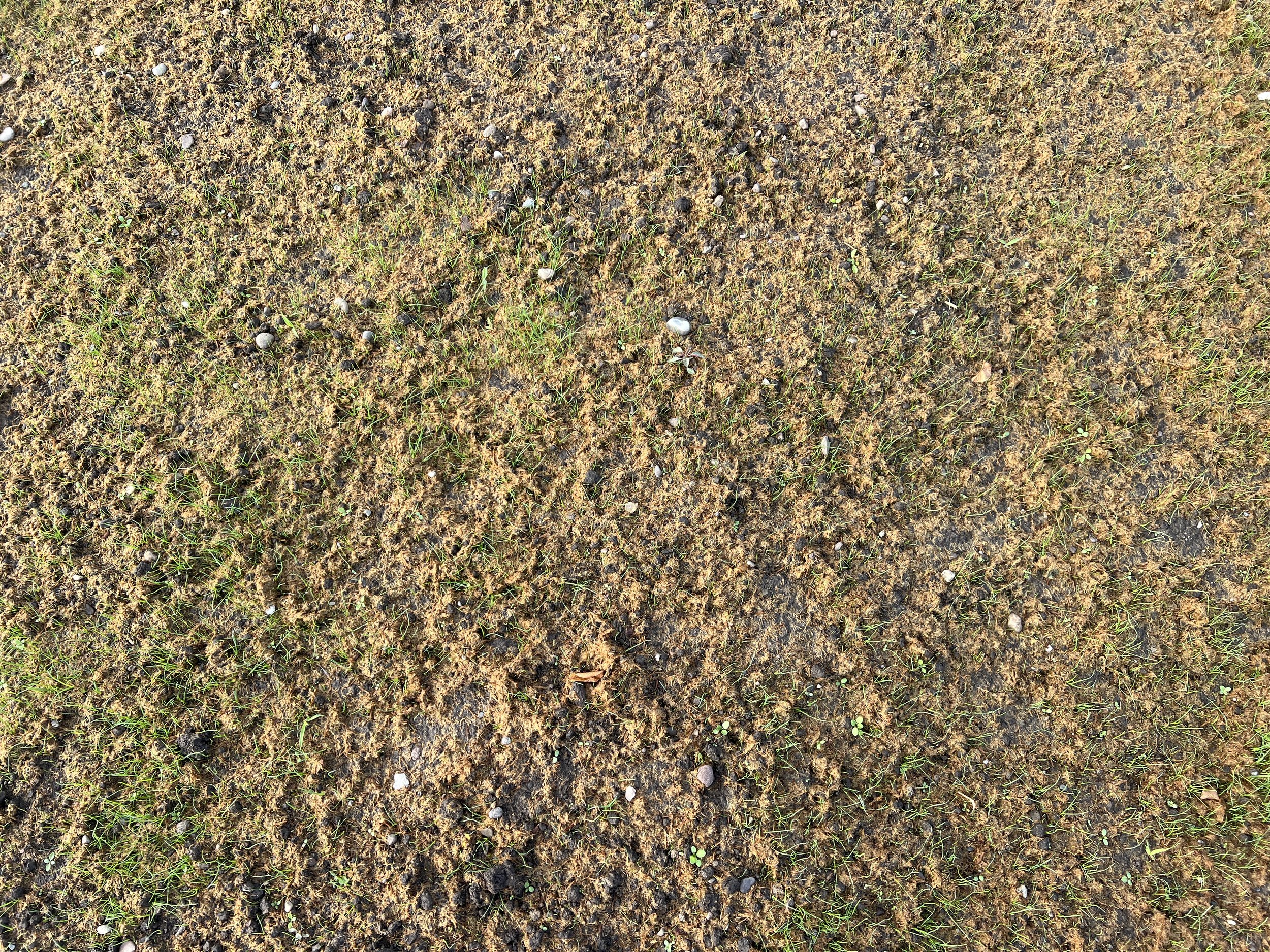 Hydraseed was applied to the TrueGrid access area, as well as surrounding ground