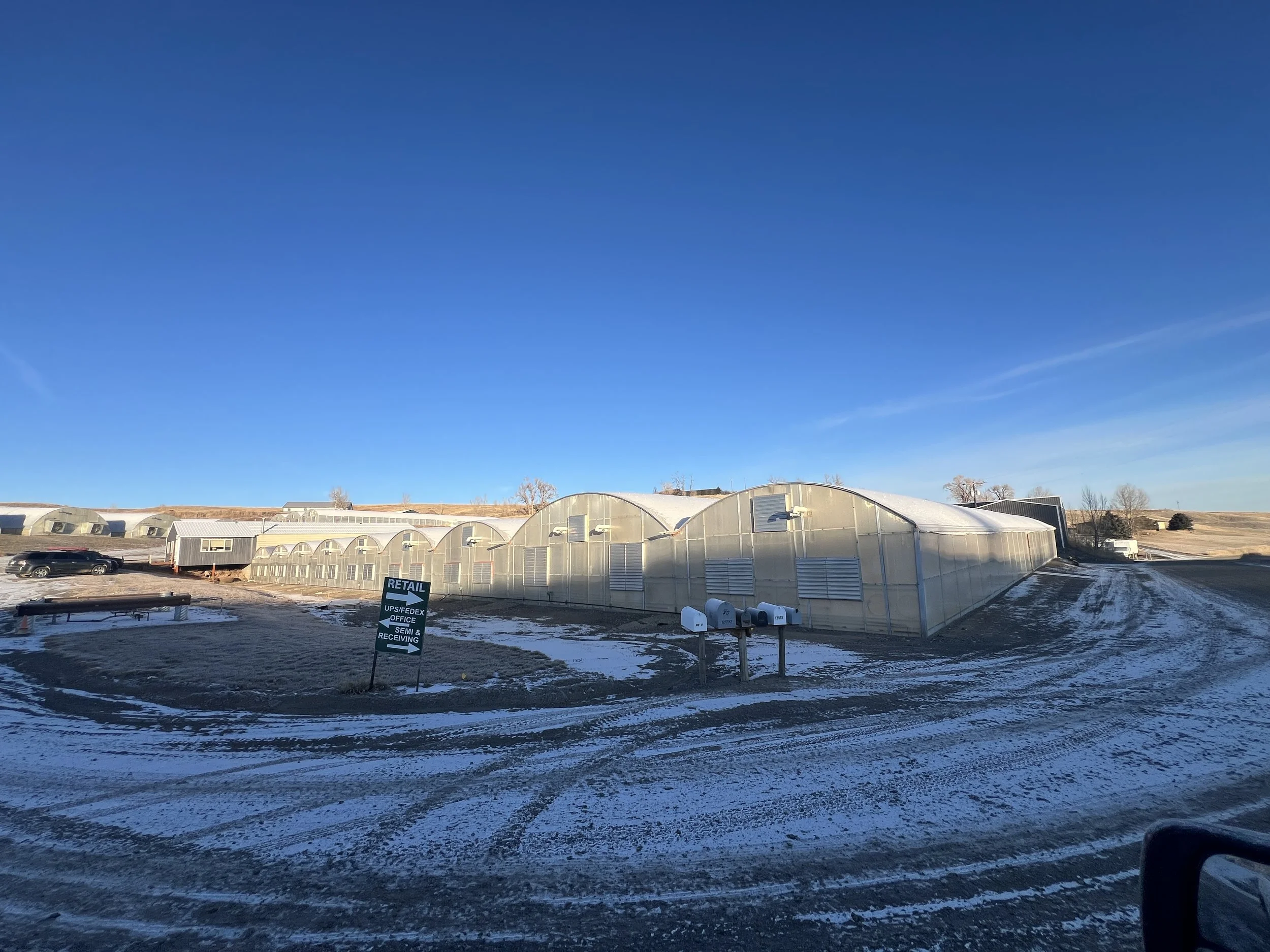 Visser maintains 50 high-capacity greenhouse buildings