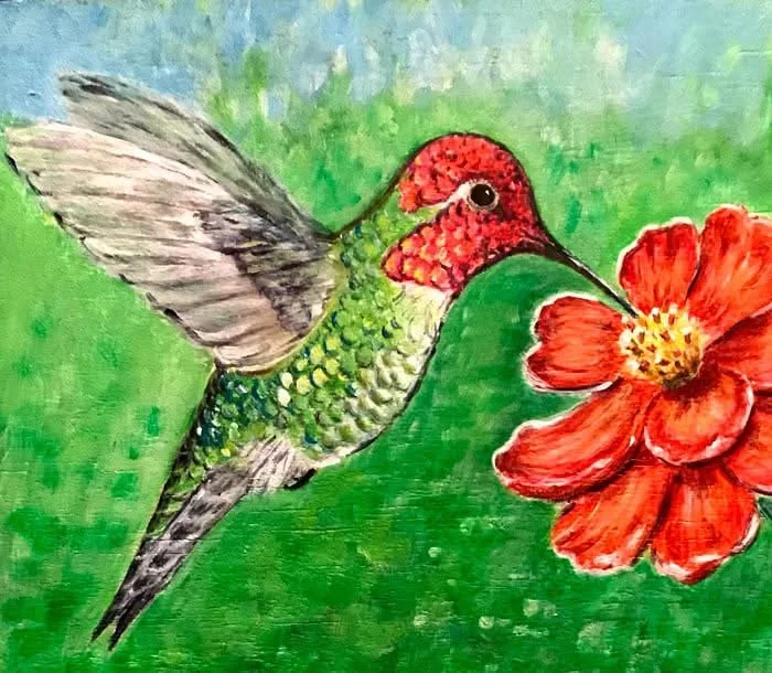Anna’s Hummingbird