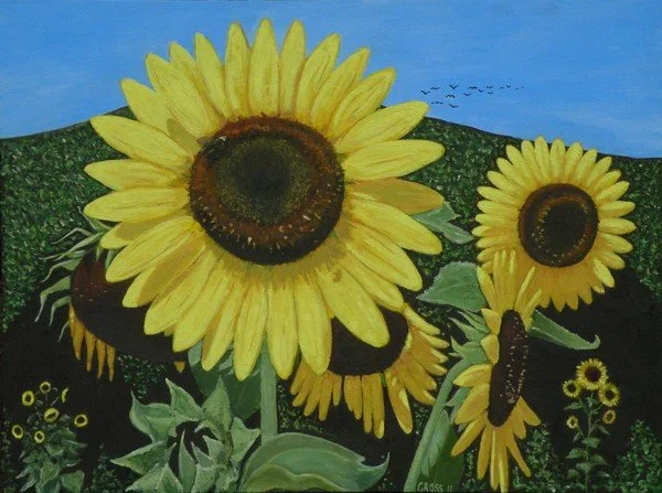 Family of Sunflowers