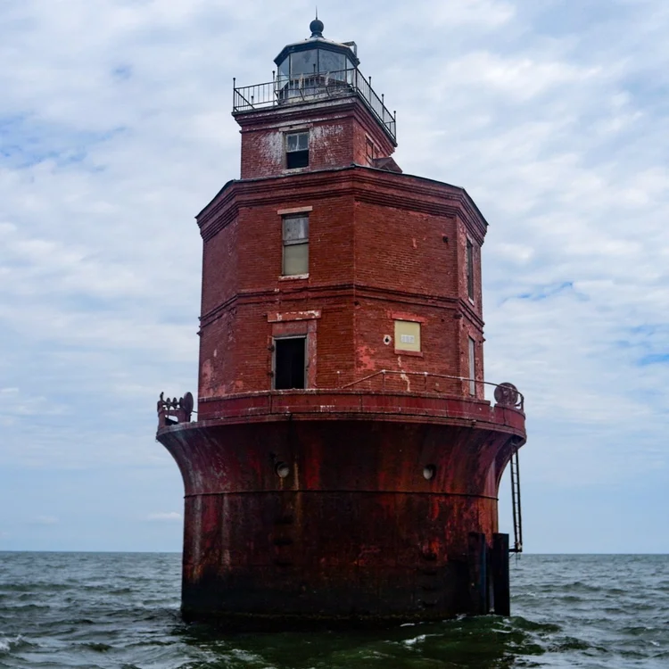 TLC | Support Lighthouse Conservation