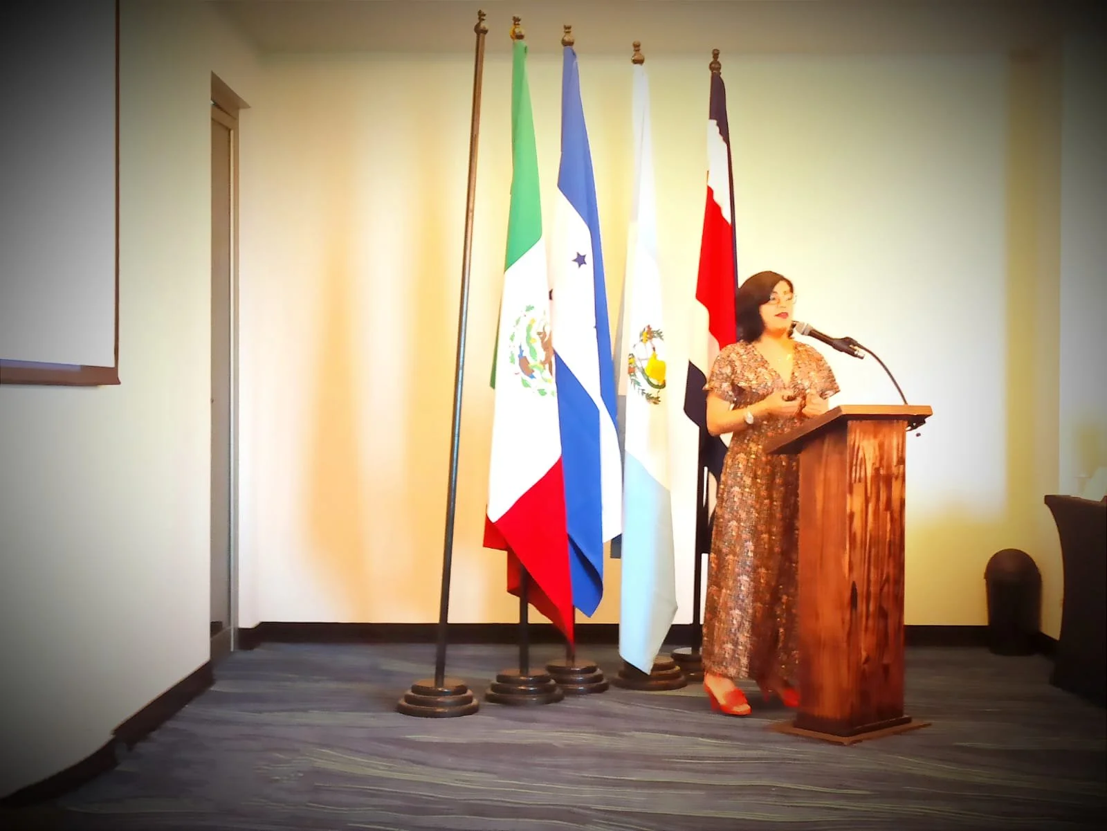 Mujer dando un discurso en un podio frente a varias banderas de países latinoamericanos.
