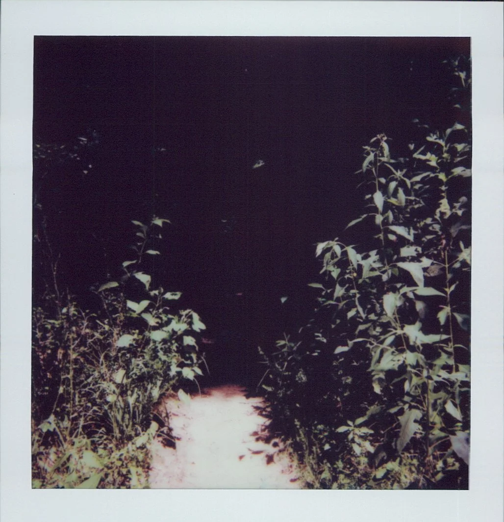 Sitting in the Middle Place