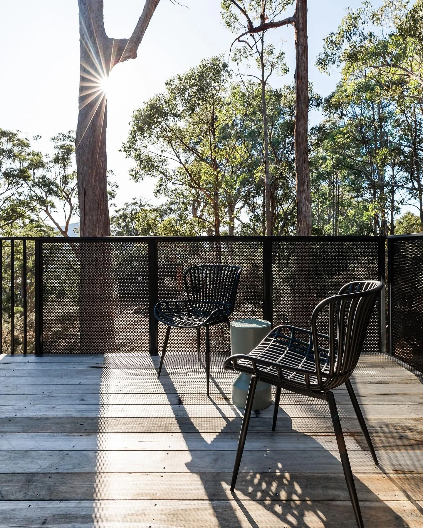 Escape to a land where birdsong fills the air and rays of sun filter through the trees

Remember what it feels like to be free

photography @natashamulhallphotography 

#hunterhuonvalley #huonvalley #tasmania #brandtasmania #travel #tasmanianphotogra