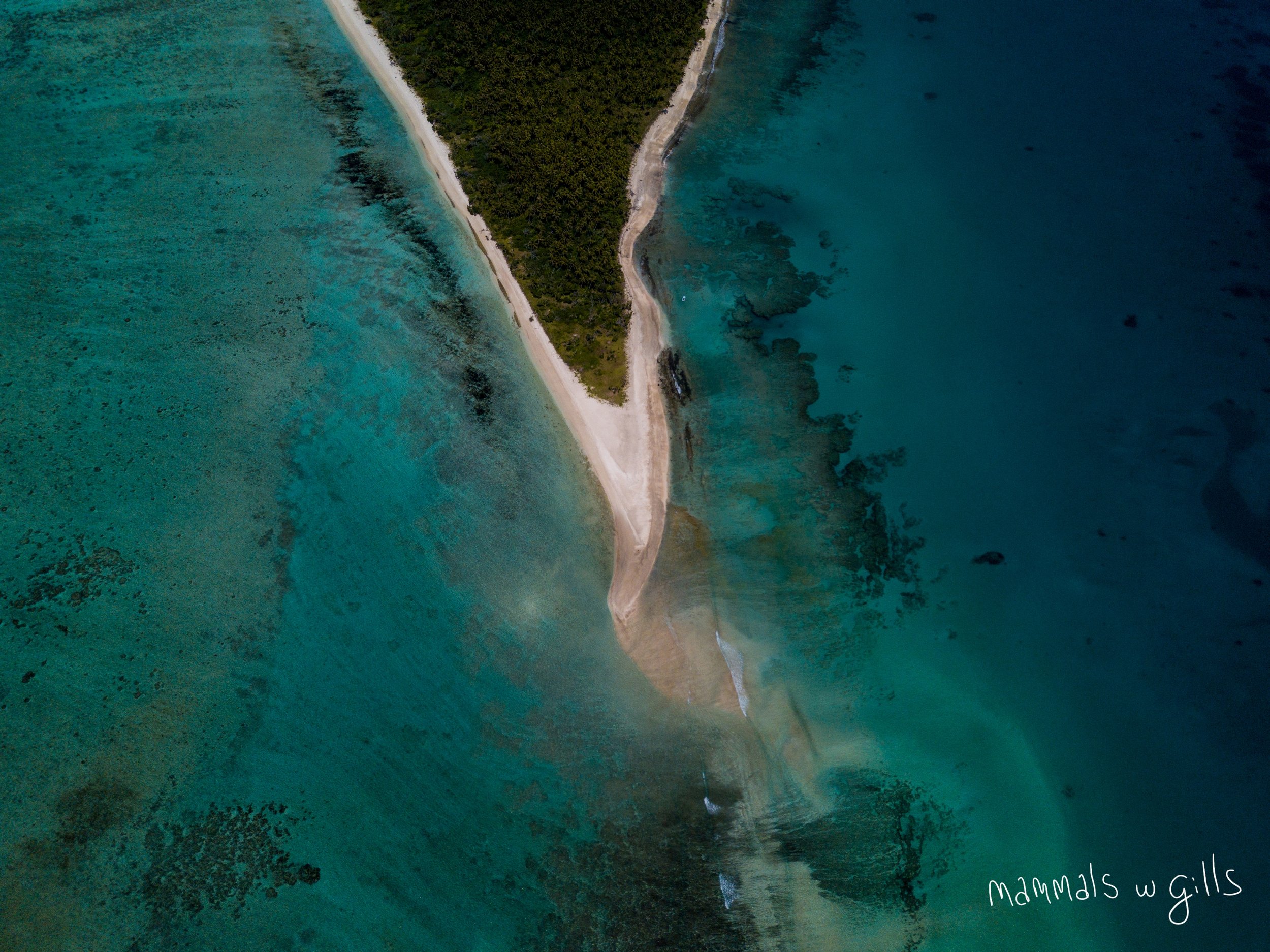 21st of September - Walk Around the North End DRONE (15).jpg