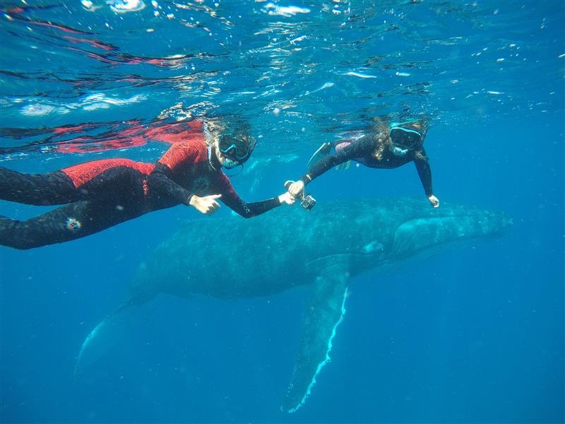 Couple with whale.jpeg