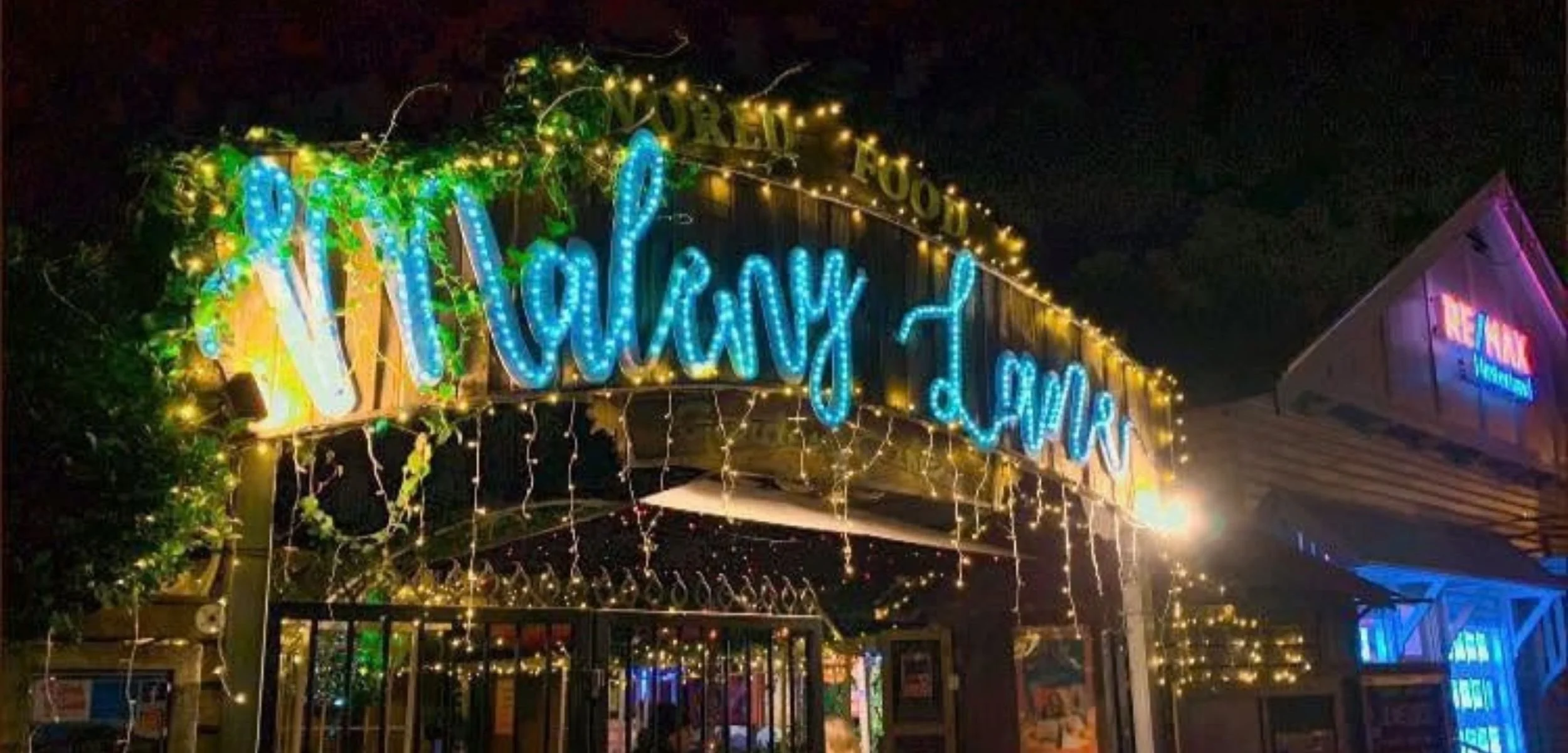 Neon sign reading 'Wynns' with decorative lights and greenery on a dark night.