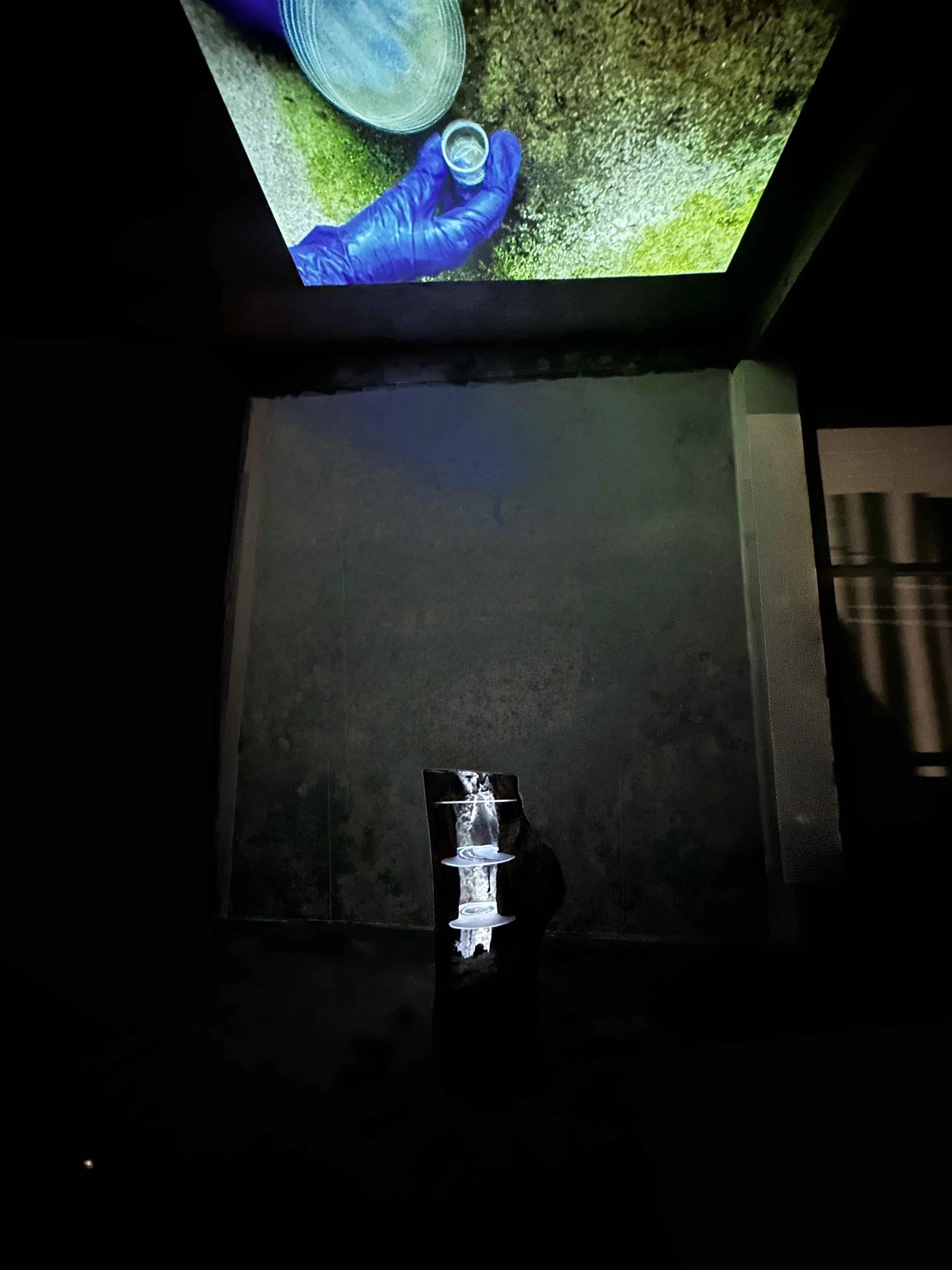 Escena-completa.jpg