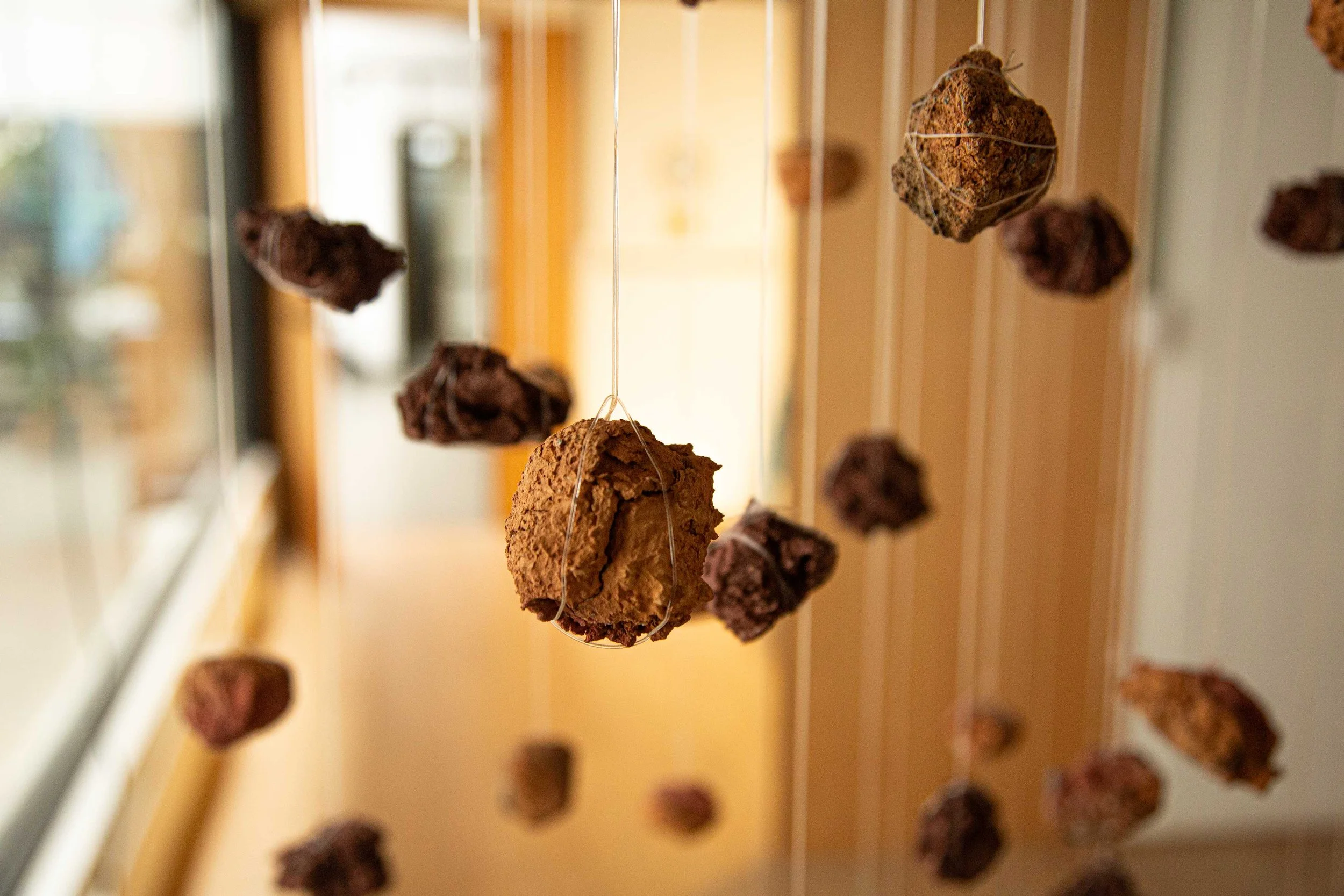 Meteorites-Installation-Detail.jpg