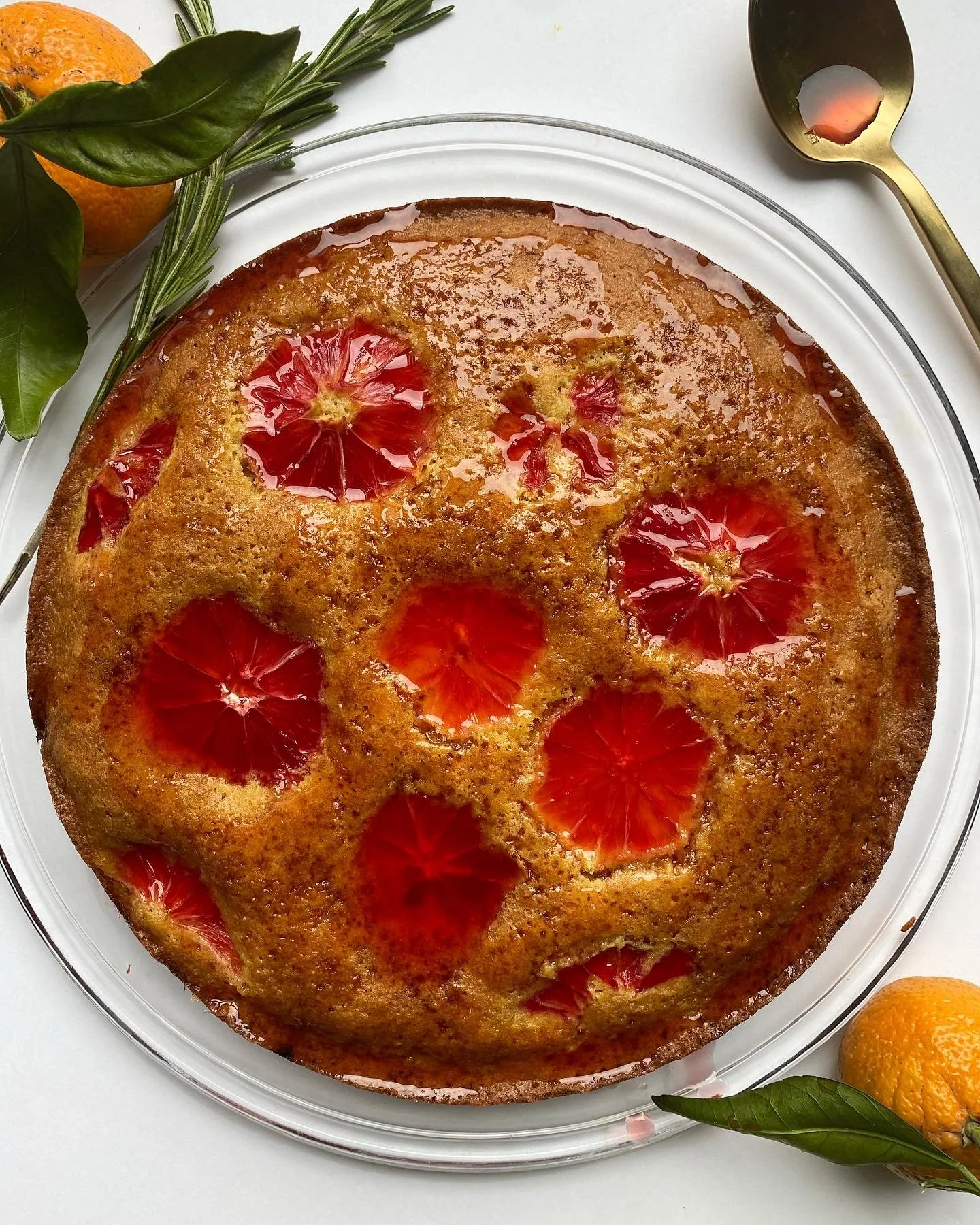 Blood orange olive oil cake.JPG