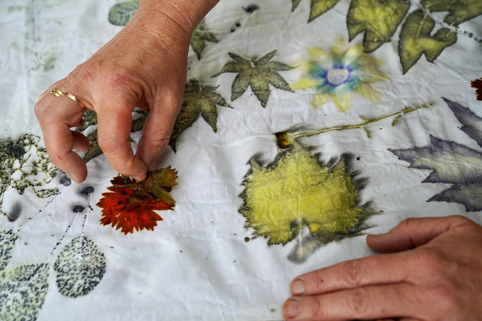 impression végétale sur coton (Niveau 2)